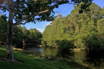 Port Orleans Riverside—Alligator Bayou