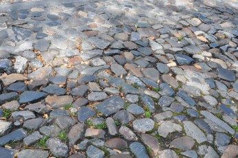 Savannah cobblestone
