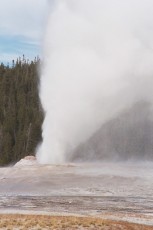Old Faithful Geyser