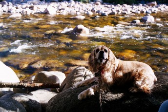Princess enjoying the river