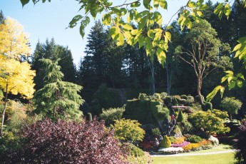 The Butchart Gardens
