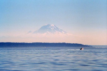 Mt. Rainier