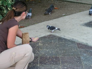 Parque de las Palomas (Pigeon Park)