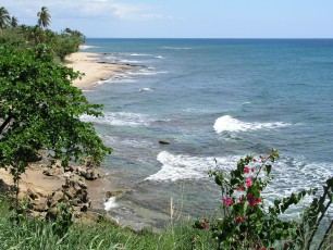 Oceanside view from the lighthouse park
