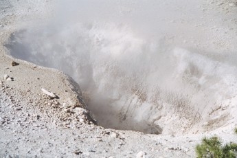 Geyser in Norris Geyser Basin