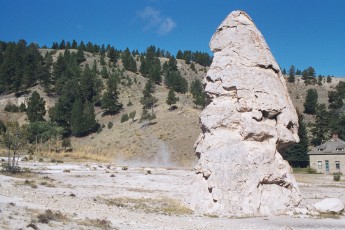 Liberty Cap