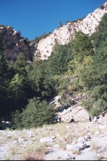 San Bernardino Mountains