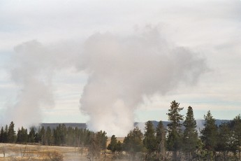 Steam vent