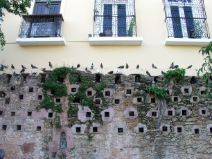 Parque de las Palomas (Pigeon Park)