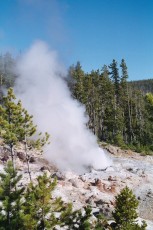 Steamboat Geyser
