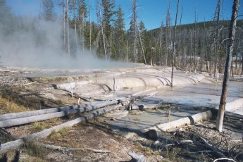 Norris Basin hot spring