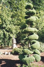 The Butchart Gardens