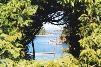 The Butchart Gardens