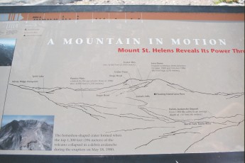 Mount St. Helens aftermath