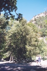 San Bernardino Mountains