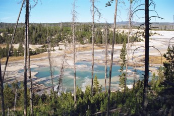 Norris Geyser Basin