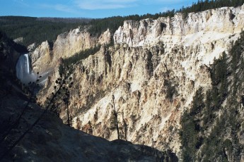 Grand Canyon of Yellowstone