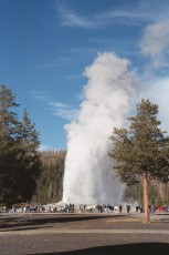 Old Faithful Geyser