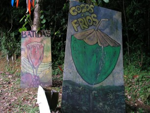 Cocos Frios vendor