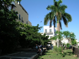 Parque de las Palomas (Pigeon Park)