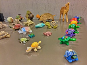 Today's the first time I ever noticed a coworker's turtle collection