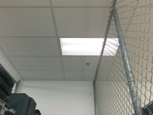 The contractors who installed my office's storage cages must've thought the light bulbs never burn out