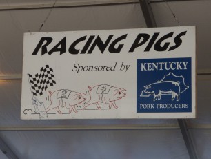 Racing pigs—'nuff said