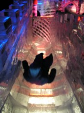 The exhibit featured an indoor ice slide. Lots of fun!