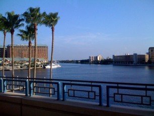 Pretty view from Tampa Convention Center