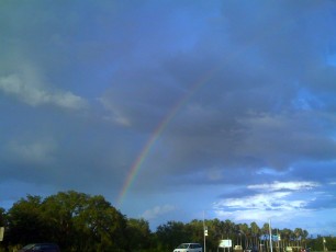 Rainbow Over USF