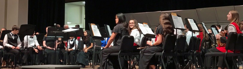 Proud of this girl—second chair flute at Volusia All-County Music Festival