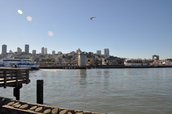 Looking back to Fisherman's Wharf