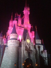 Two-color Cinderella's Castle