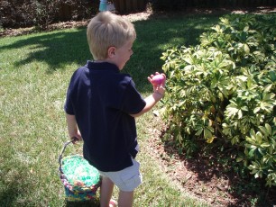 The great 2006 egg hunt!