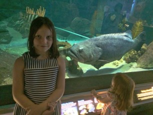 Goliath grouper and my neice