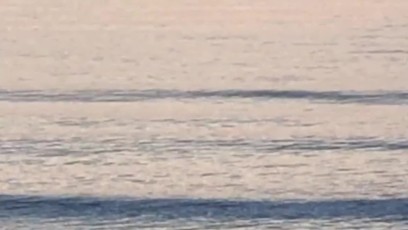 Finally spotted some dolphin at the beach (excuse the grainy, digitally enlarged/zoomed video)