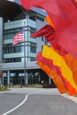 Colorful flag entrance