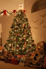 Parents' Christmas Tree, 2005