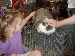 An owner was kind enough to take out a bunny for Karis to pet