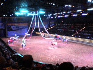 Dixie Stampede show