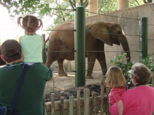 Louisville Zoo, August 20, 2008