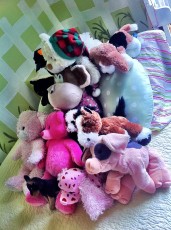Adri's stuffed animals