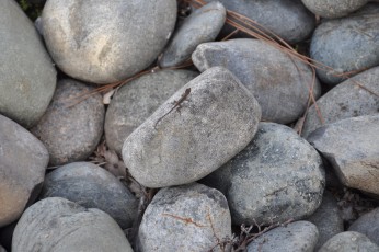 The size of these stones is a matter of perspective—see the little guy?