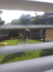 Spying on my grandpa as he pressure washes the patio furniture; for a Floridian, those are some pale legs LOL!