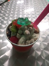I forgot to take a picture for today, so here's a photo of my frozen yogurt from yesterday