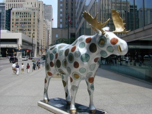 "Moose in the City"