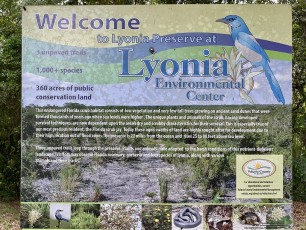 Entering the Lyonia Preserve