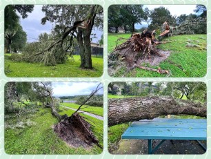 Didn’t observe any appreciable damage in my neighborhood except for two large trees down and a third losing a major limb; all three in the park and didn’t hit any buildings—literally missed smashing a picnic table by two inches!