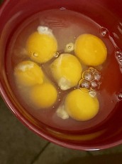 I cracked our last five eggs to scramble for Lori and Adri; the last one was a twin—something I’ve never before encountered with eggs!
