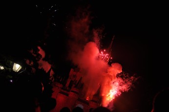Fireworks over Cinderella Castle